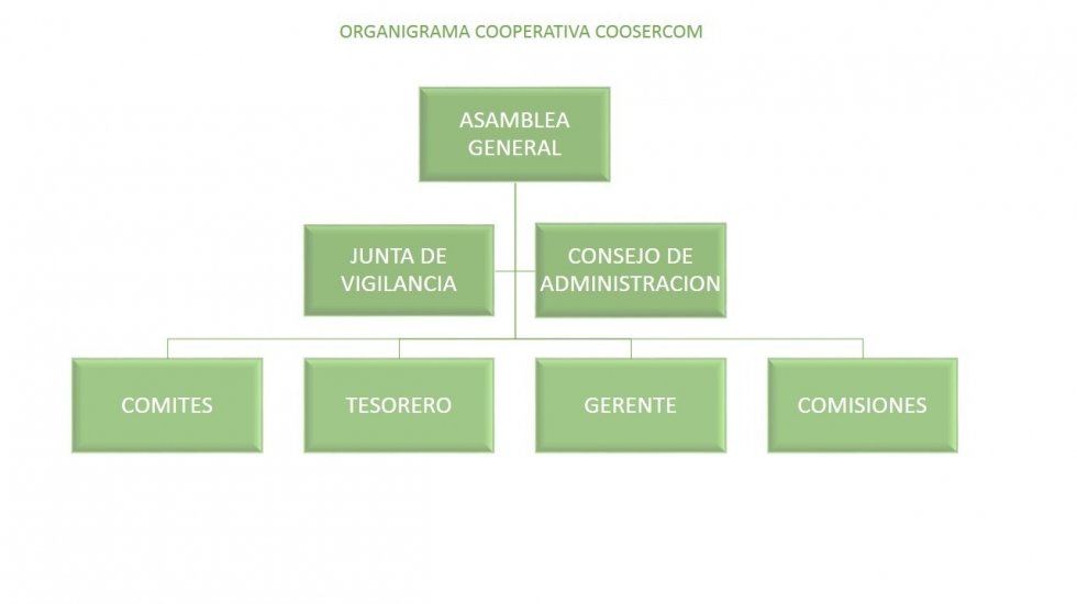 gallery/organigrama